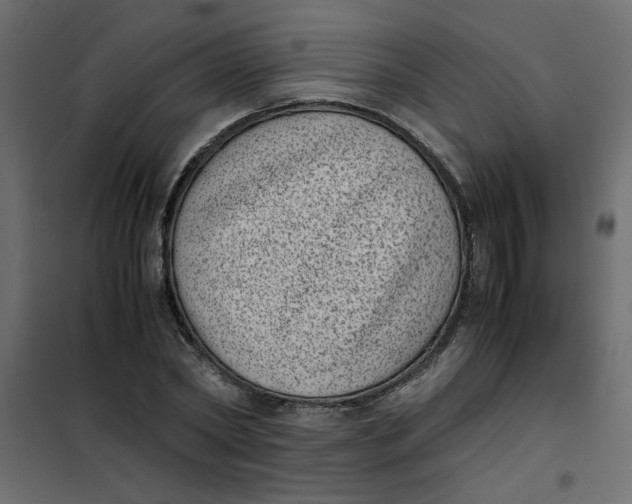 X0000101990782200808081634