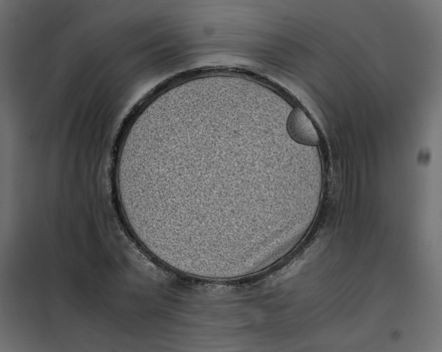 X0000101990783200808081634