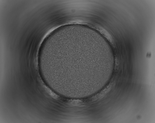 X0000101990784200808081634