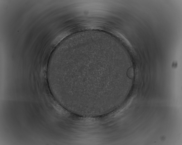 X0000101990785200808081634