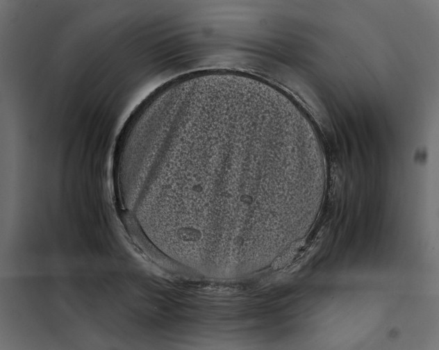 X0000101990788200808081634