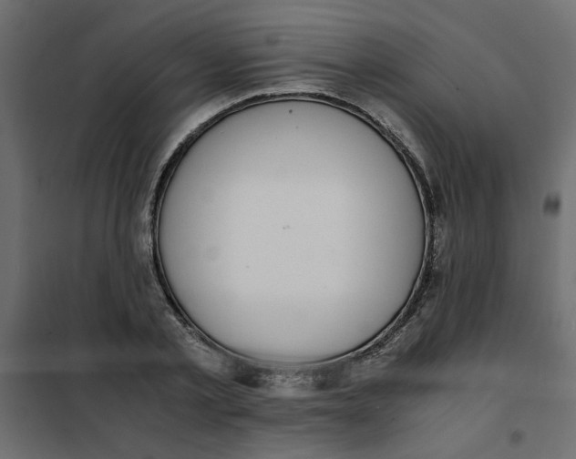 X0000101990789200808081634