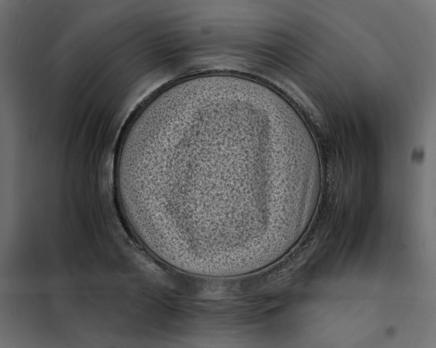 X0000101990790200808081634