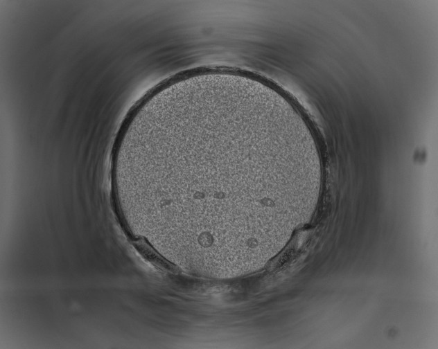 X0000101990791200808081634