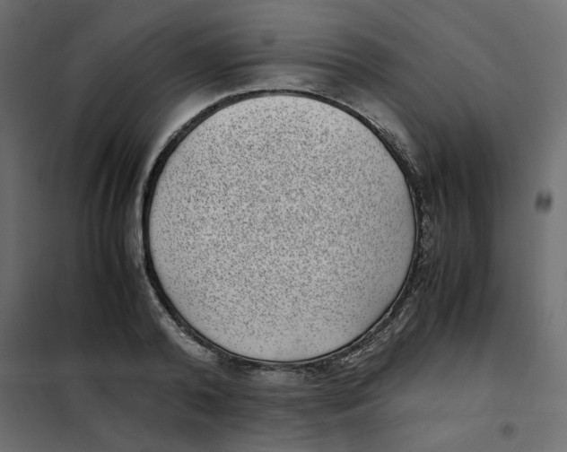 X0000101990792200808081634