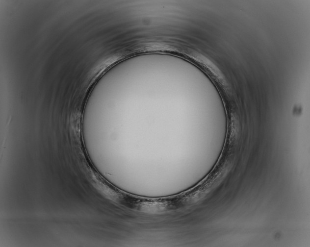 X0000101990793200808081634