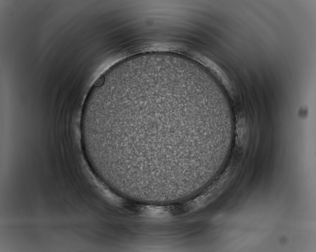 X0000101990794200808081634