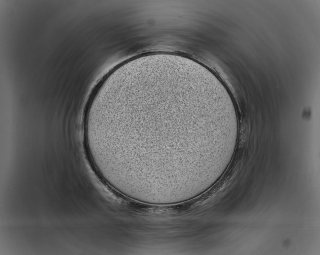 X0000101990795200808081634