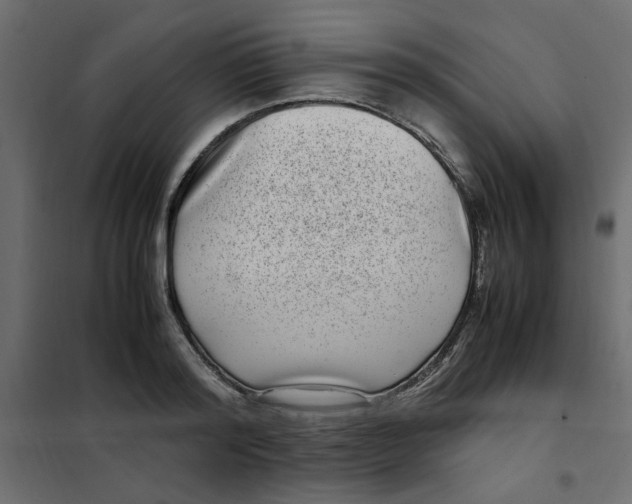 X0000101990796200808081634