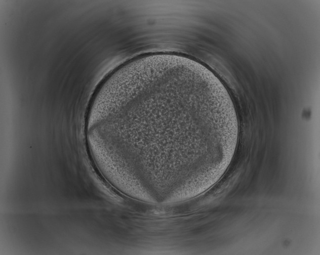 X0000101990797200808081634