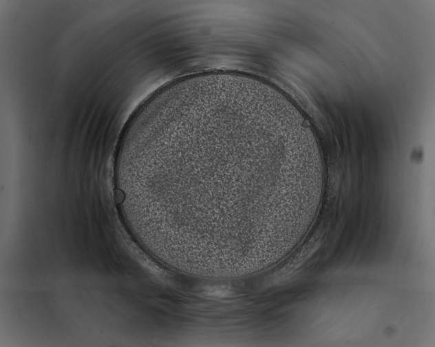 X0000101990798200808081634