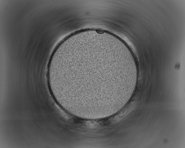 X0000101990799200808081634