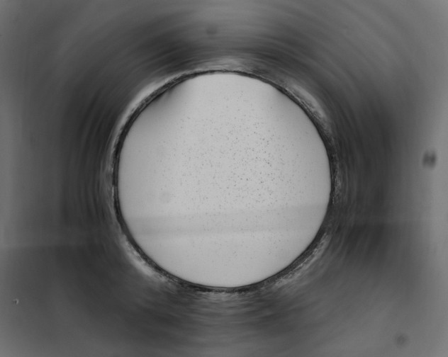 X0000101990800200808081634