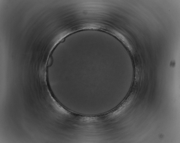 X0000101990802200808081634