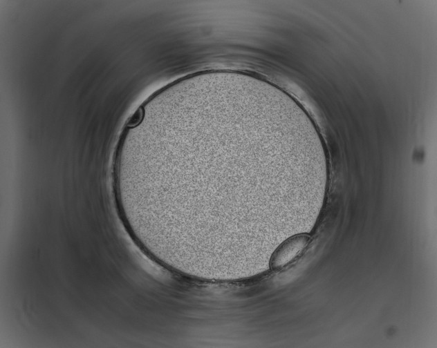 X0000101990803200808081634