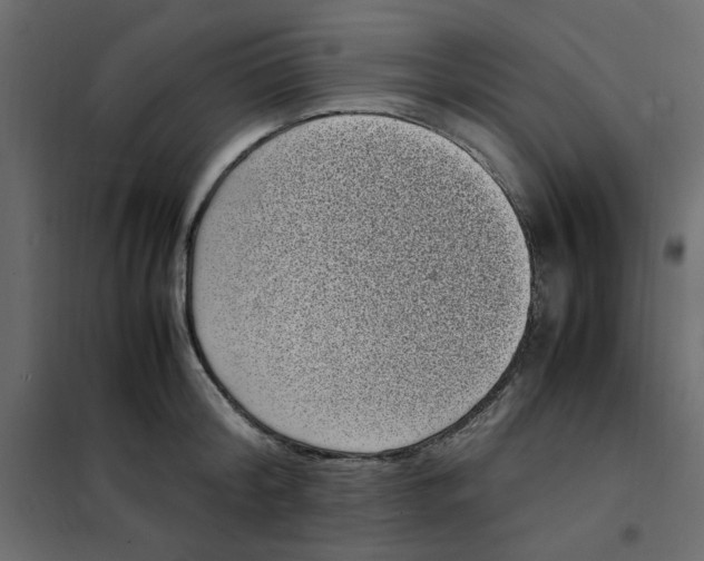 X0000101990804200808081634