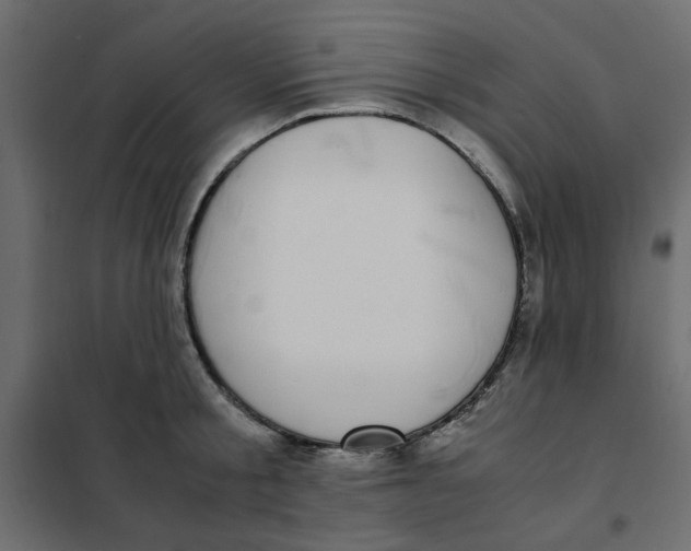 X0000101990805200808081634