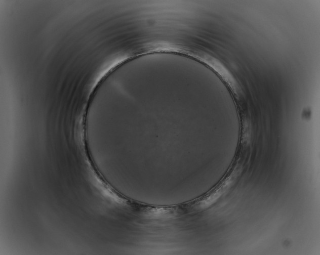 X0000101990806200808081634