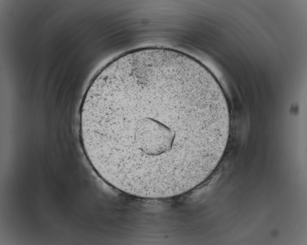 X0000101990807200808081634