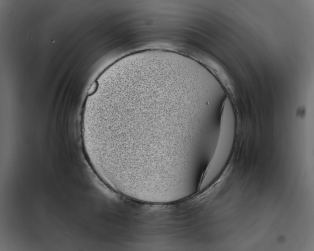 X0000101990808200808081634