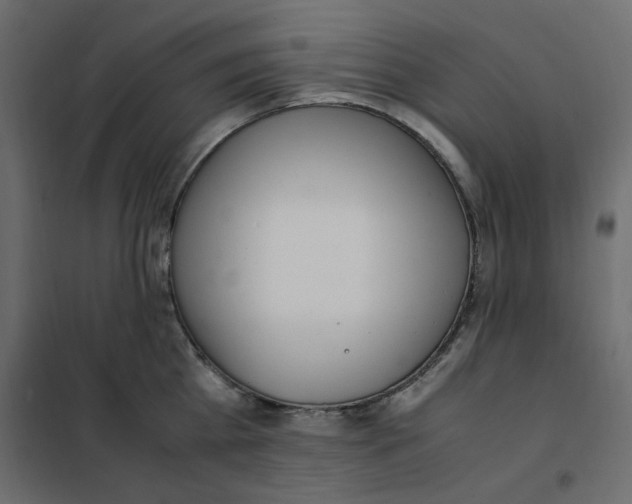 X0000101990809200808081634