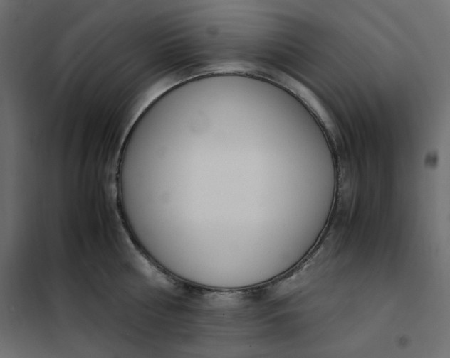 X0000101990810200808081634