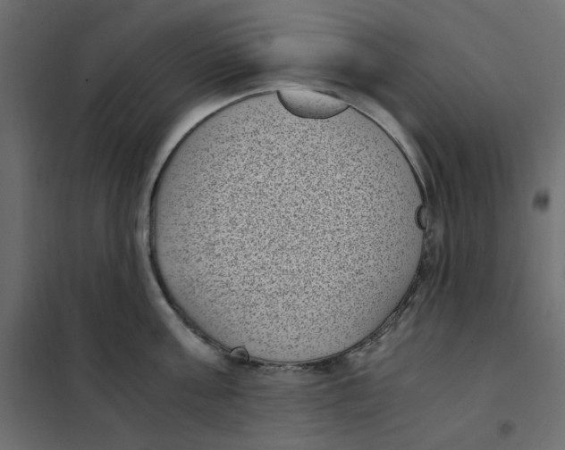 X0000101990811200808081634