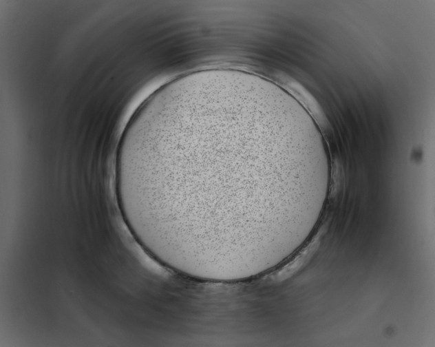 X0000101990812200808081634