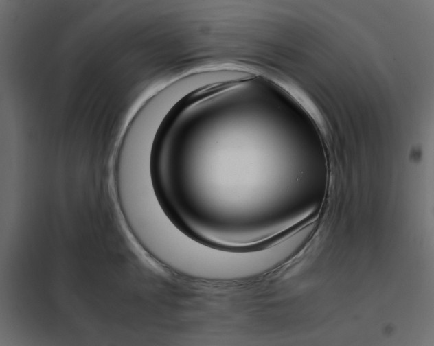 X0000101990813200808081634