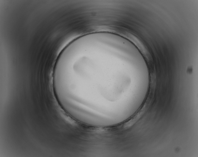 X0000101990814200808081634