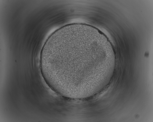 X0000101990815200808081634