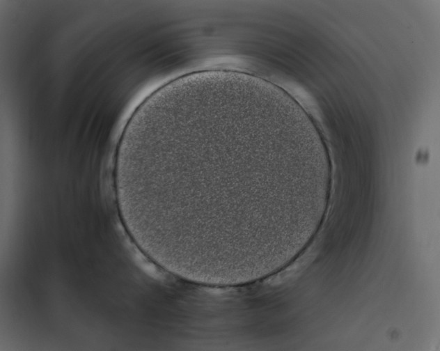 X0000101990816200808081634