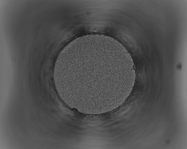 X0000101990817200808081633