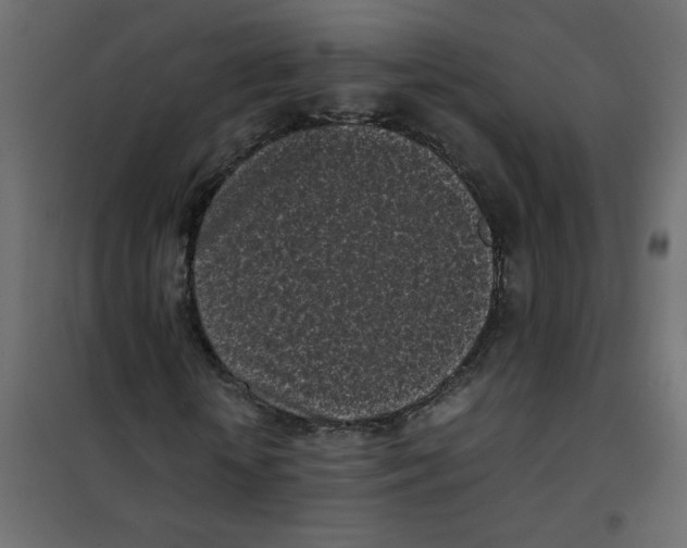 X0000101990818200808081633