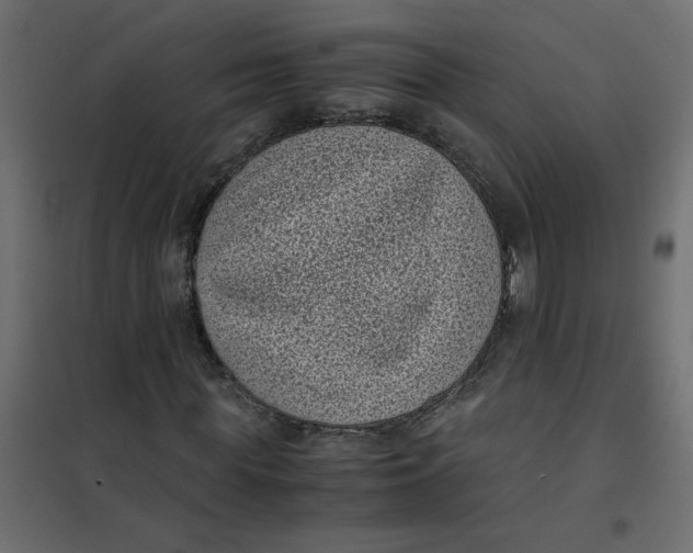 X0000101990819200808081633