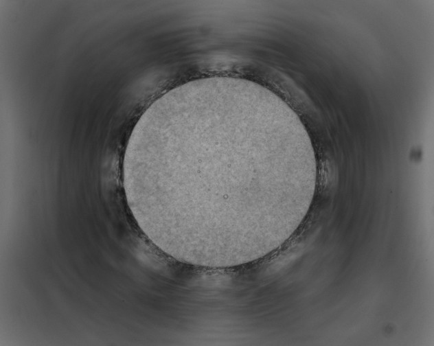 X0000101990820200808081633