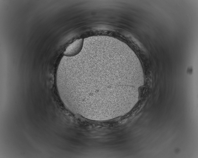 X0000101990821200808081633