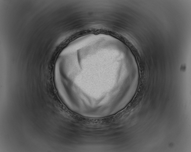 X0000101990823200808081633