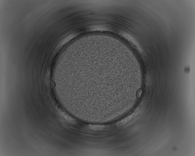 X0000101990825200808081633