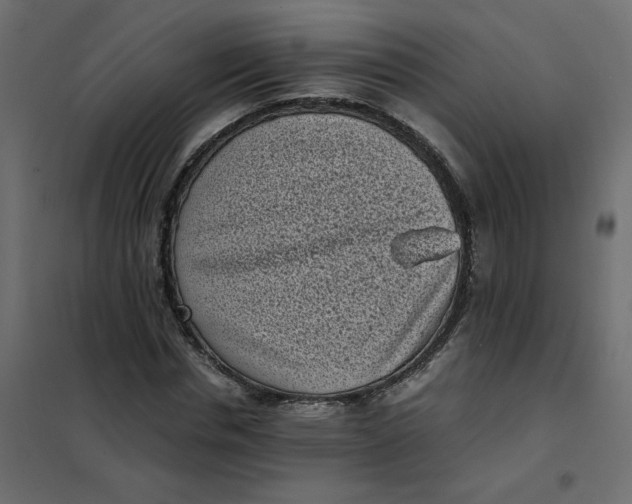 X0000101990826200808081633