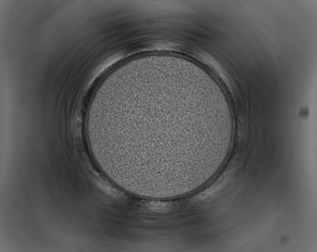 X0000101990827200808081633