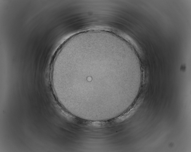 X0000101990828200808081633