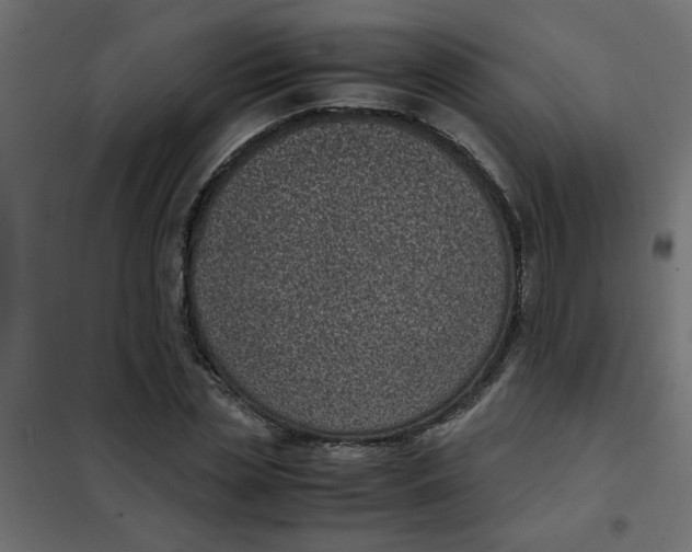 X0000101990829200808081633