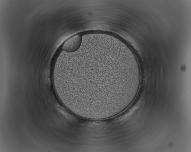 X0000101990830200808081633