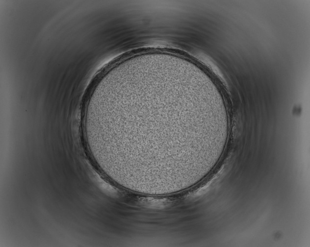 X0000101990831200808081633