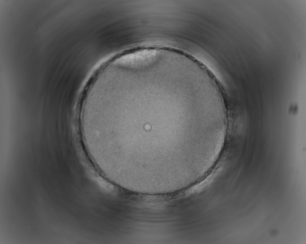 X0000101990832200808081633