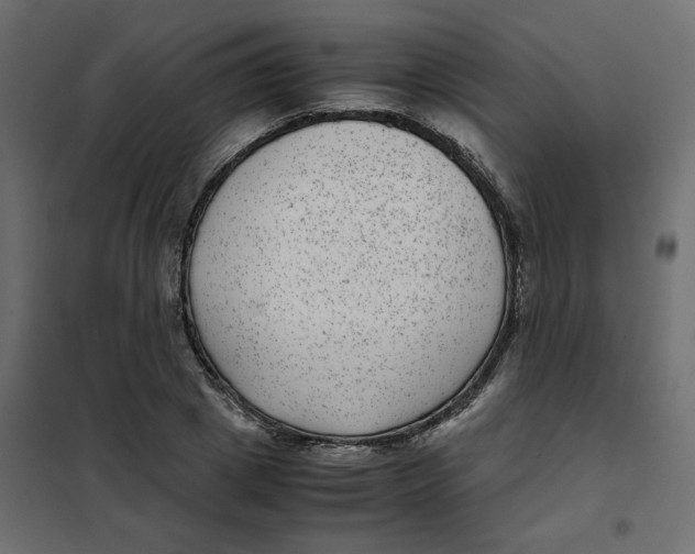 X0000101990833200808081633