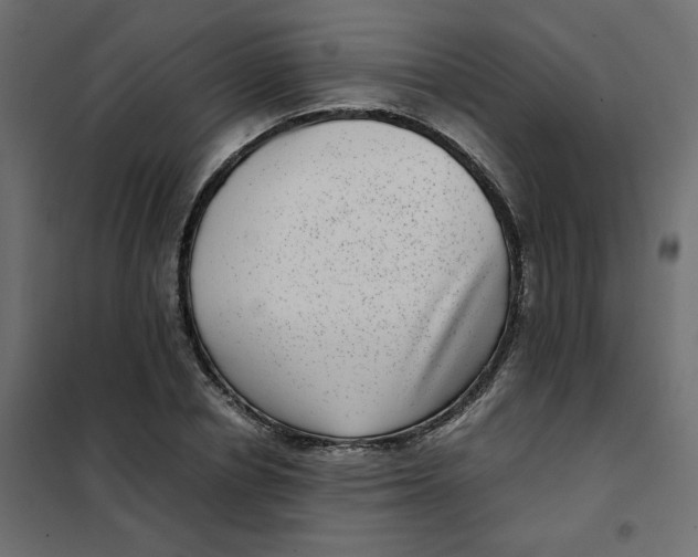 X0000101990834200808081633