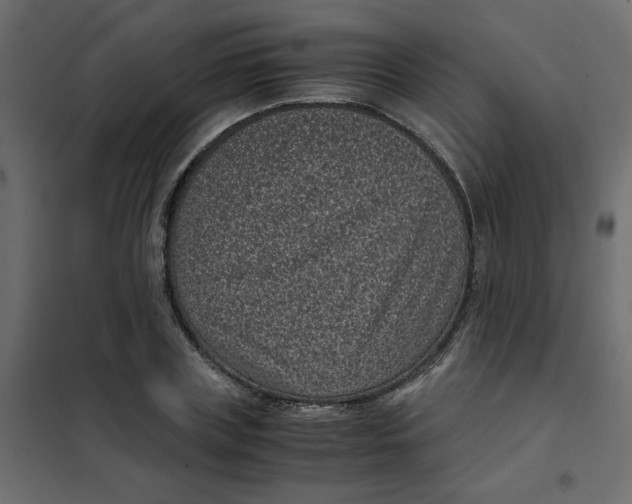 X0000101990835200808081633