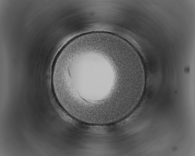 X0000101990836200808081633